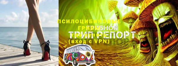 хмурый Усмань